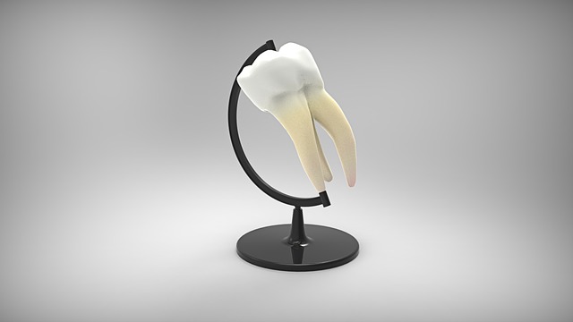model zubu